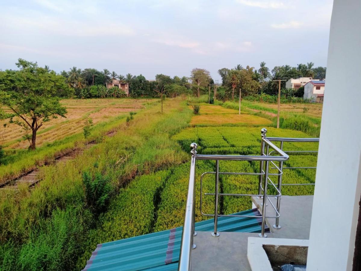 Freedom Of Green Rice View Anuradhapura Exterior photo