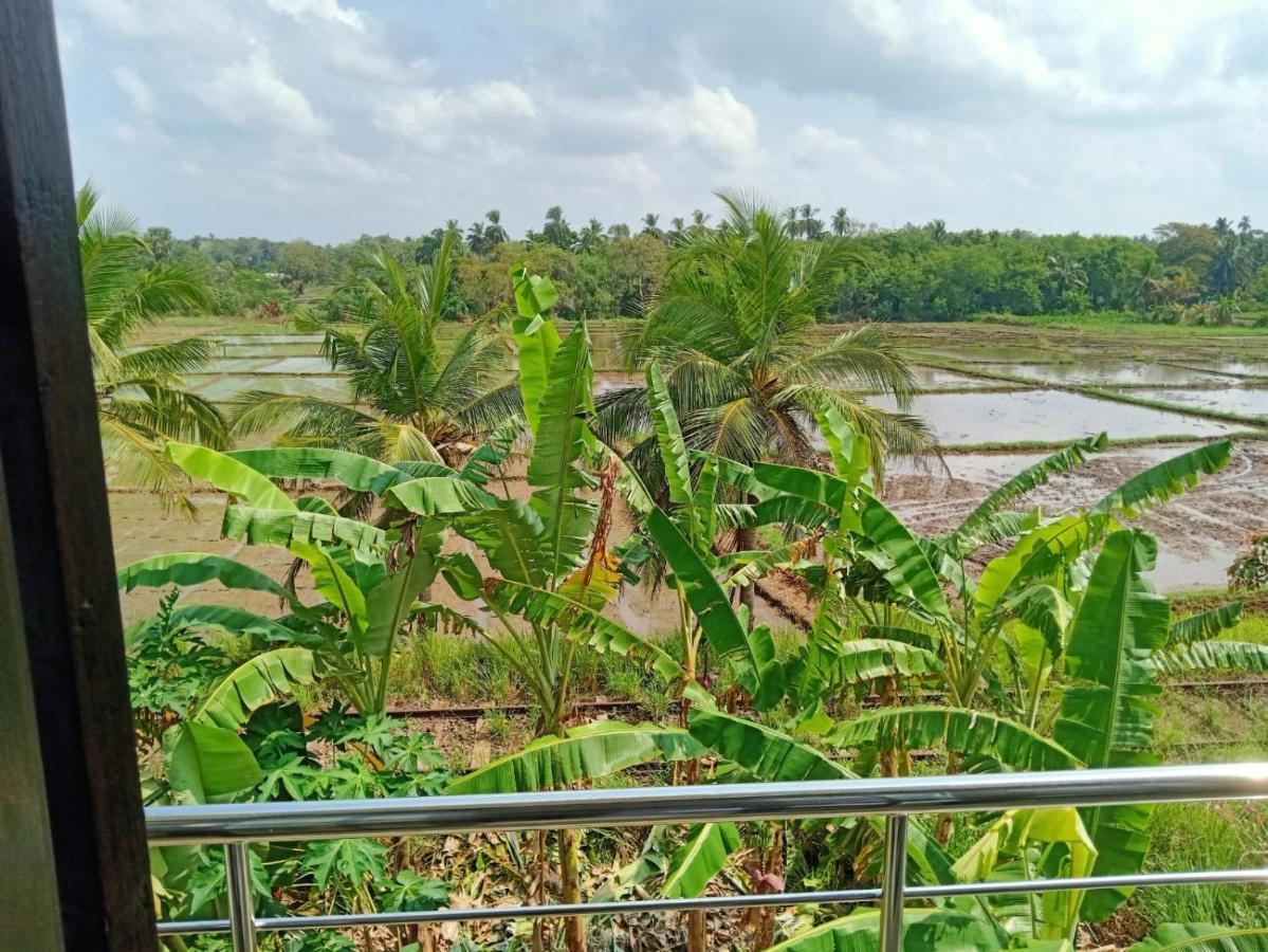 Freedom Of Green Rice View Anuradhapura Exterior photo