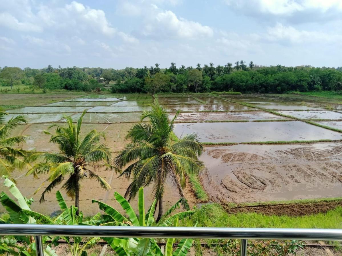 Freedom Of Green Rice View Anuradhapura Exterior photo