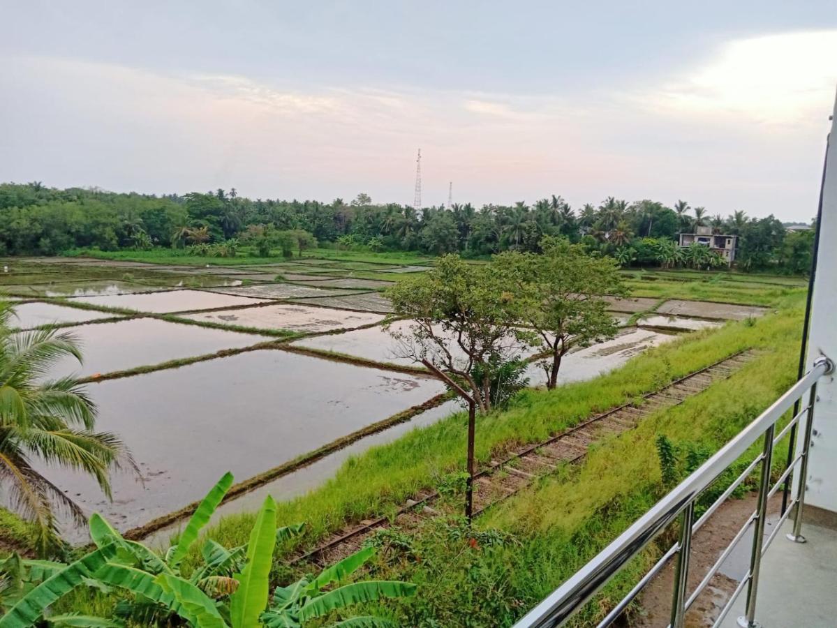 Freedom Of Green Rice View Anuradhapura Exterior photo