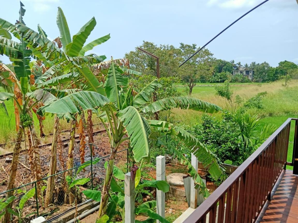 Freedom Of Green Rice View Anuradhapura Exterior photo